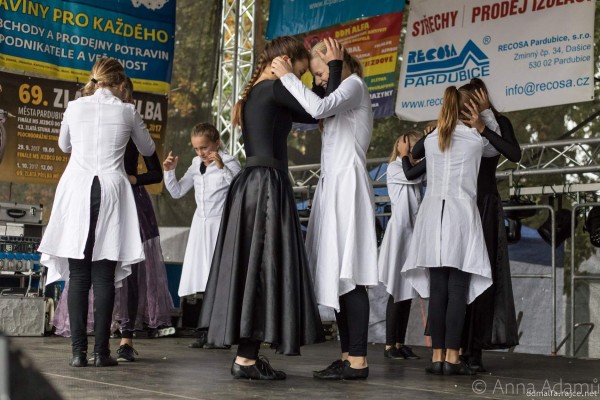 Dům dětí a mládeže ALFA Pardubice - Polabiny