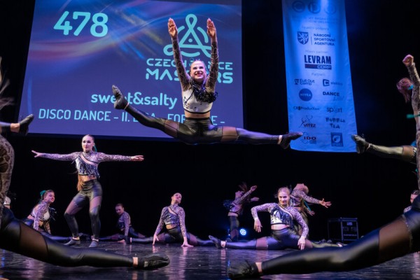 Hroši jedou k moři