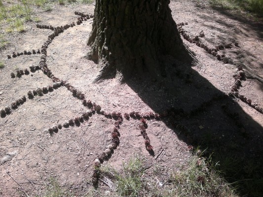 Hra s přírodninami