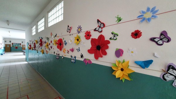 Humanitní projekty