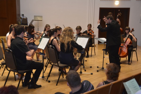 Smyčcový komorní orchestr