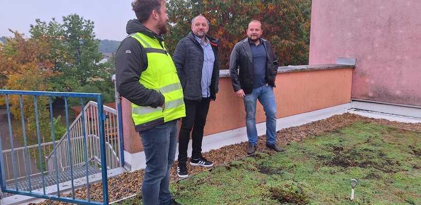 Pardubice mají první školu se zelenou střechou